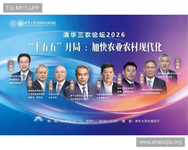 星空体育网页版登录入口全面解析帮助用户快速顺利登录体验